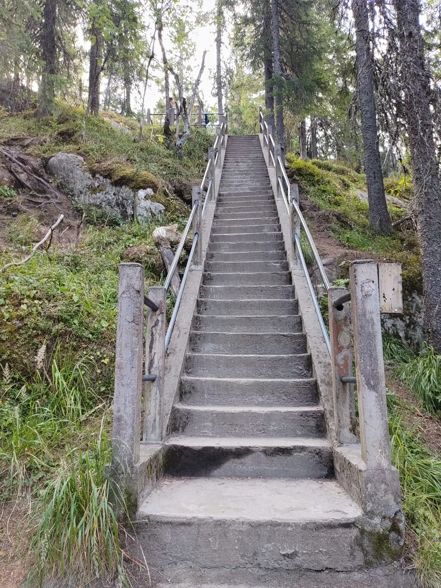 Portaat Kolilta