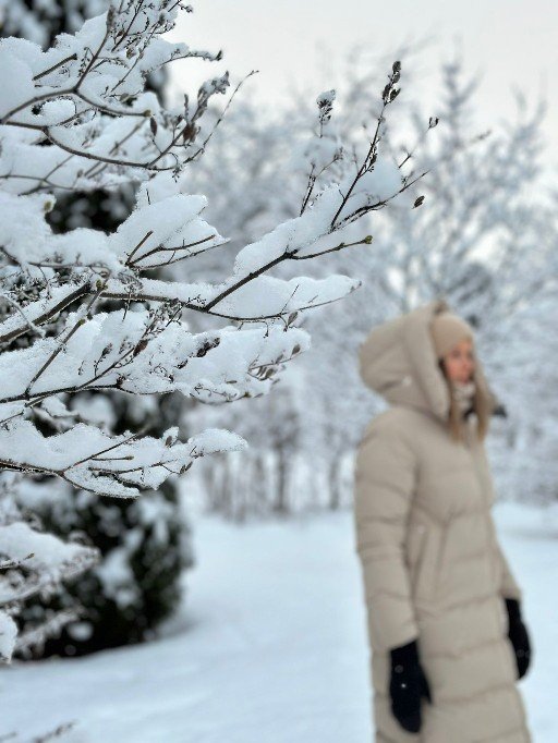 Wisusti tukihenkilö talvimaisemassa